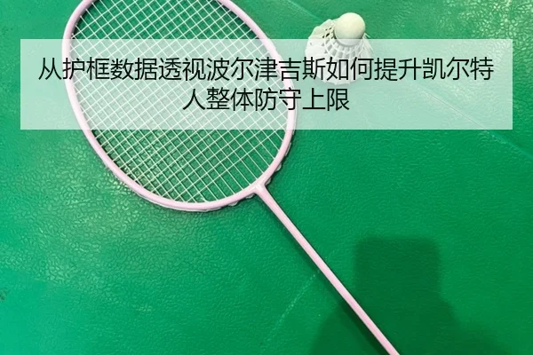 从护框数据透视波尔津吉斯如何提升凯尔特人整体防守上限